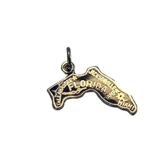 Florida Sterling Charm Only Palm Tree Cities Travel Charm Silver And Blue State - Picture 2 of 4